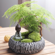 Cloud Zoom small image