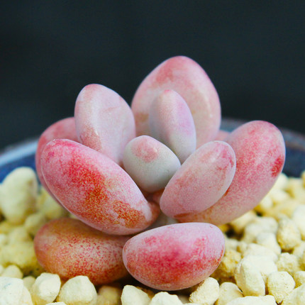 Cloud Zoom small image