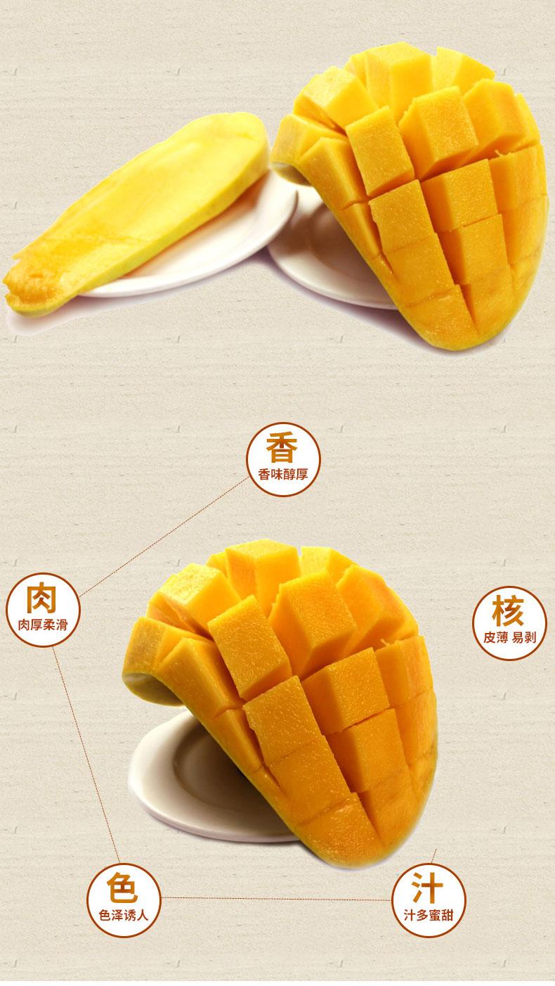 大金煌芒果_02_02.jpg