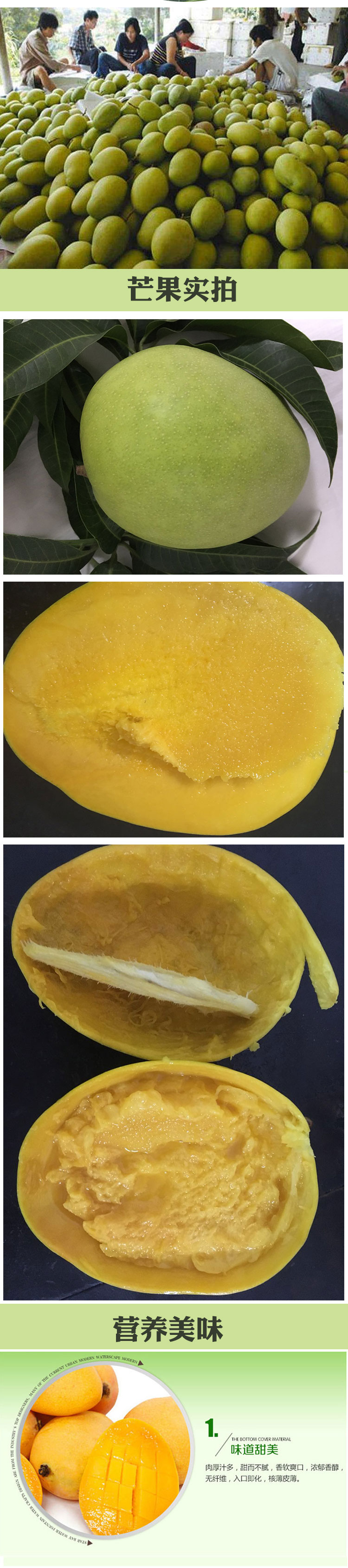 详情页芒果_03.jpg