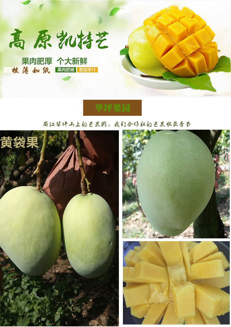 详情页芒果_01.jpg