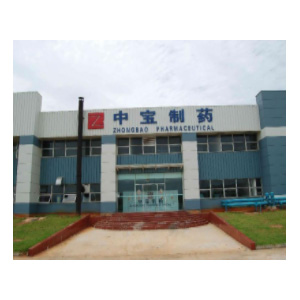 中宝制药股份有限公司