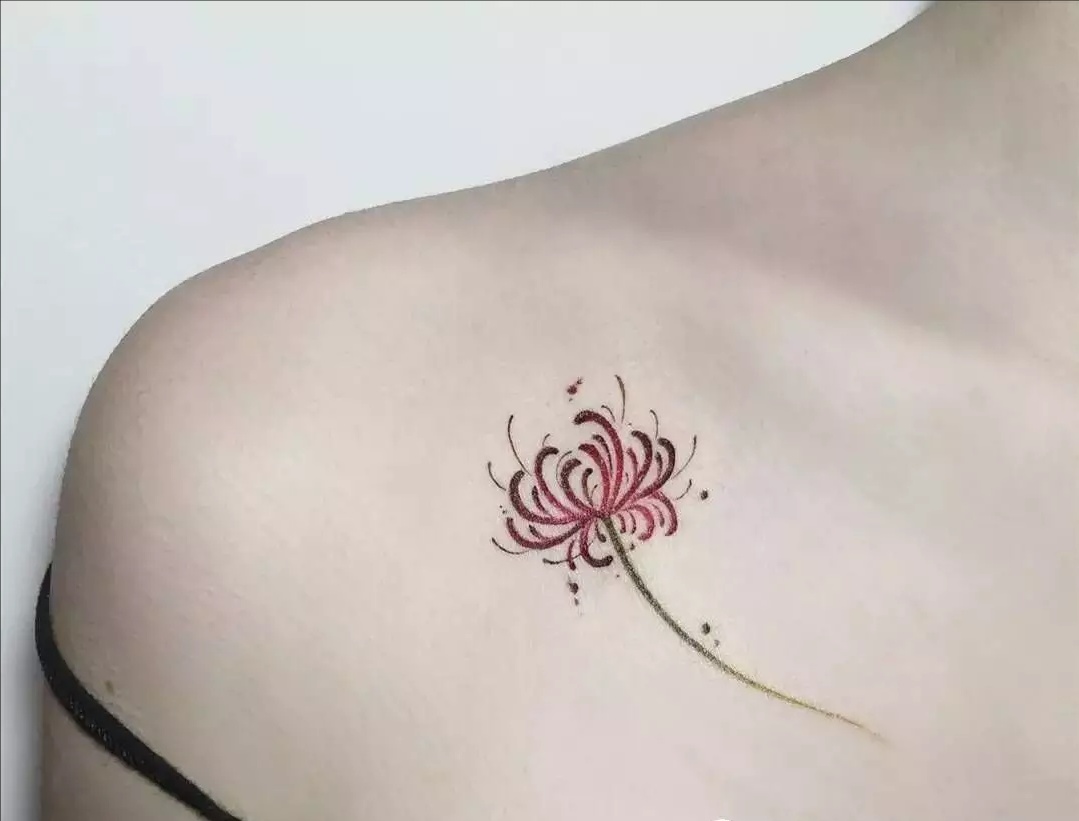 纹身资讯  彼岸花的花语 中国花语:"优美纯洁"代表美丽,动人,又有"