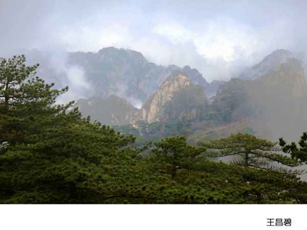 2017上期摄影班学员王昌碧作品