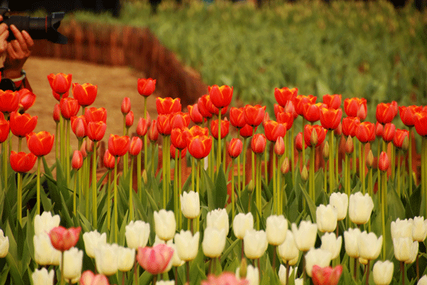 2017下期摄影班尹国林学员作品