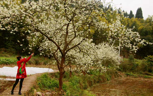 2018老年大学下期摄影班尹国林学员作品