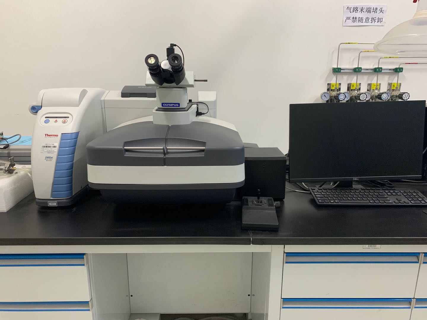 原位拉曼成像光谱仪