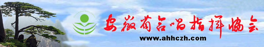 安徽省合唱指挥协会