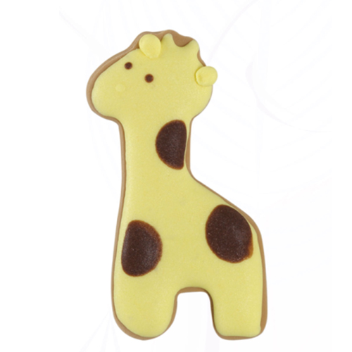 Cloud Zoom small image