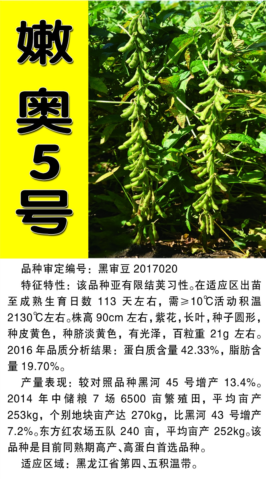 嫩奥5号-大豆-产品展示-嫩江县远东种业有限责任公司