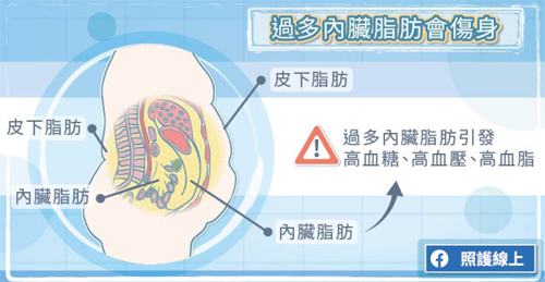 内脏脂肪过多的「偷肥族」