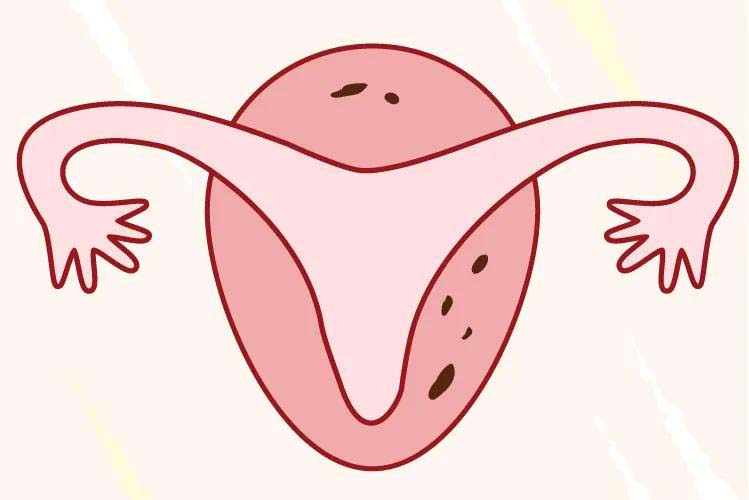「我到底要做几次才会怀孕?」