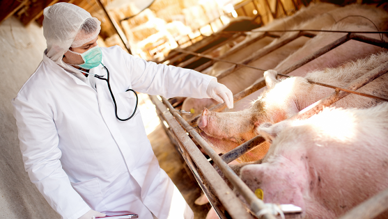 全球传染病 全球传染病