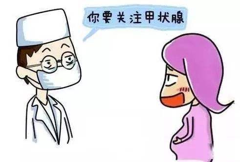 甲状腺功能与怀孕的关系 甲状腺功能与怀孕的关系