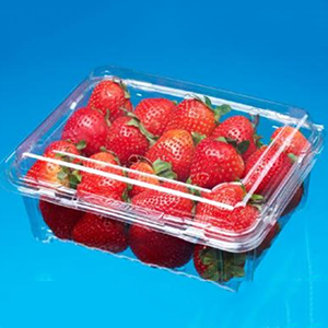 Cloud Zoom small image