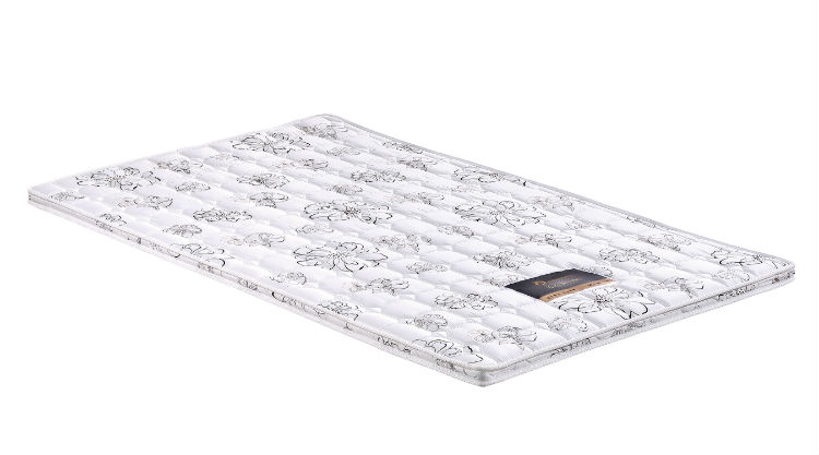 棕之宝(软型白花) 副本.JPG