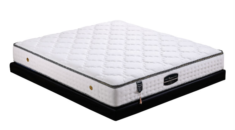 豪情(乳胶)- 副本.jpg