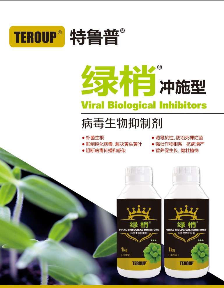 Cloud Zoom small image