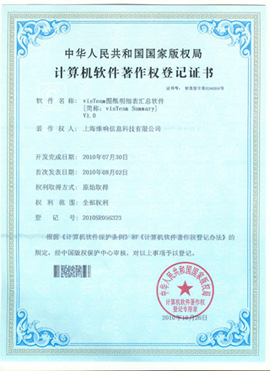 visTeam InfoGuard著作权证书