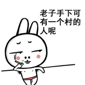 手里有投票团队 手里有投票团队