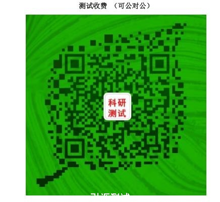 电感耦合等离子体原子发射光谱法（ICP-AES）