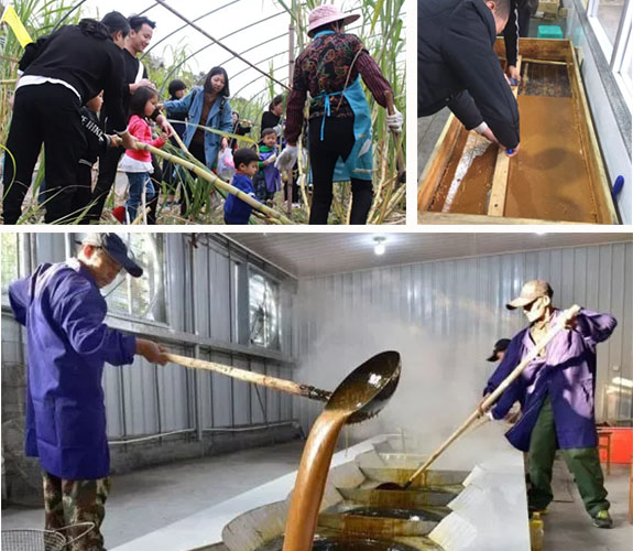 体验制作红糖