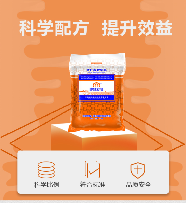 橙03.jpg