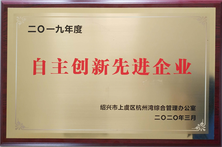 2019年自主创新先进企业_副本.jpg