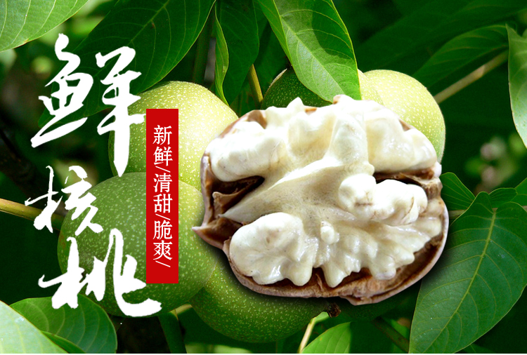 青皮核桃2017 清香核桃 野生核桃 纸皮核桃孕妇核桃 新鲜带皮核桃