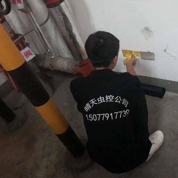 合肥滅鼠