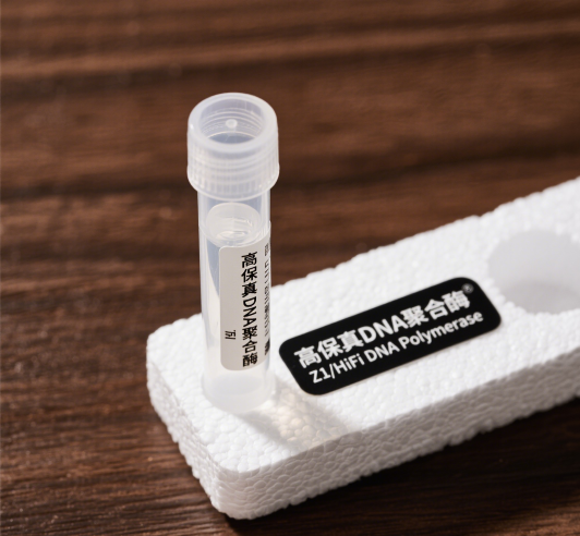 20250508173440_49677.png 压缩高保真DNA聚合酶.png