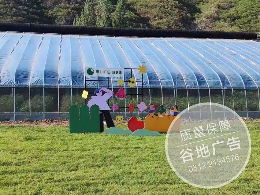 美陈
