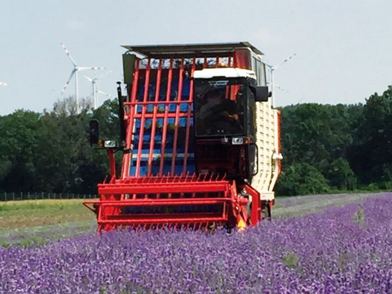 FR 100药材香料茎叶收获机/Herb Harvester