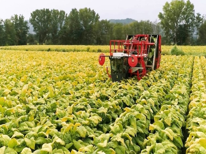 RA832E 烟草收获机/TobaccoHarvester