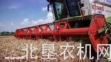 六台克拉斯收割机作业