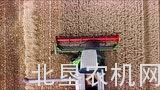 克拉斯LEXION 550收割机收获小麦