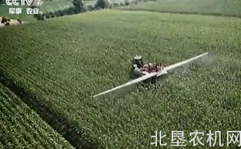 号外：马斯奇奥上中央电视台了