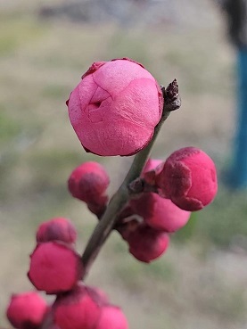 老苏服务日记2022年2月4号