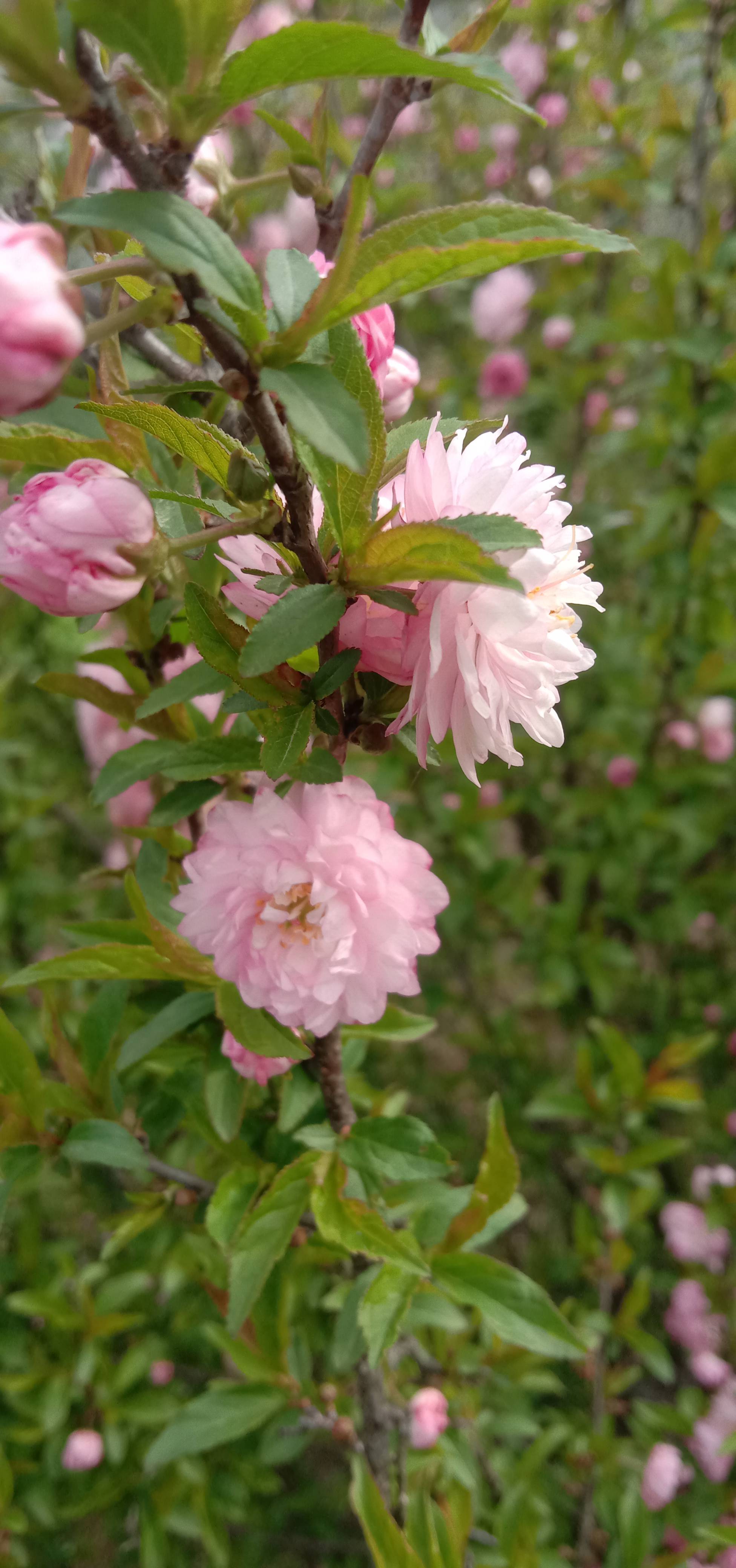老苏服务日记2023年3月27日
