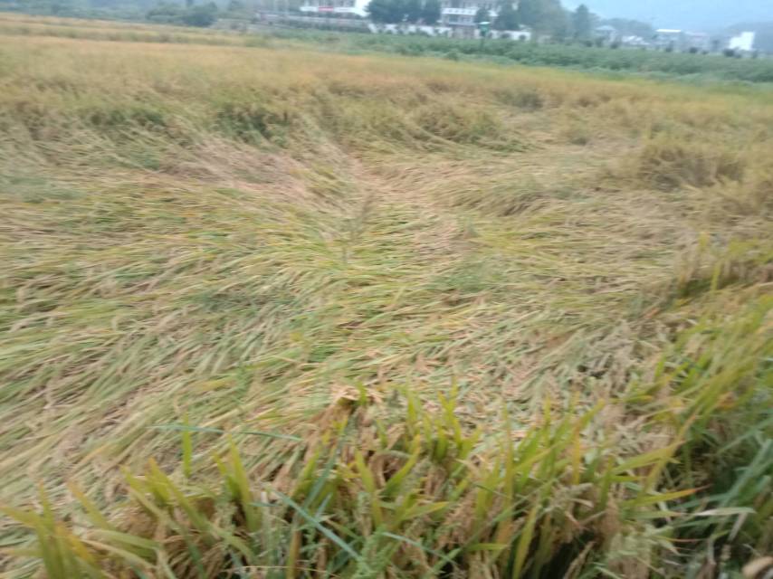 老苏服务日记2023年10月25日