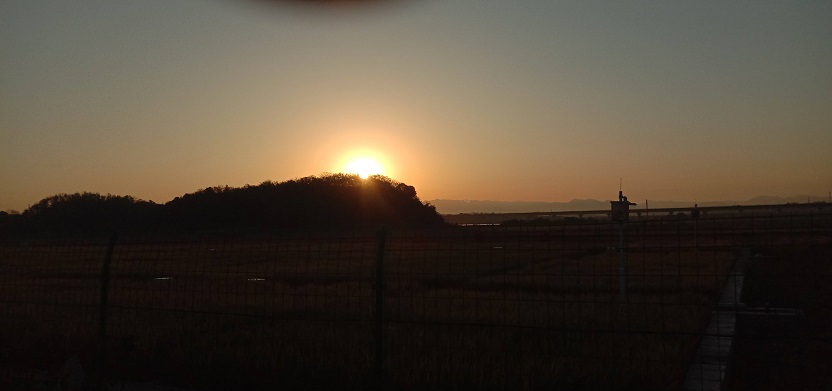 老苏服务日记2023年11月7日