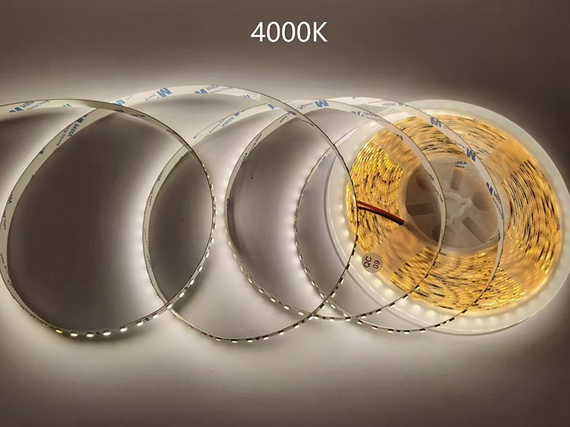 灯带10-4000.jpg