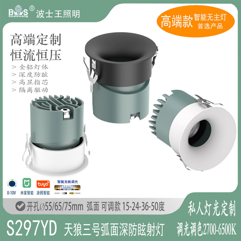 S297YD天狼3号 窄边可调 弧面射灯.jpg