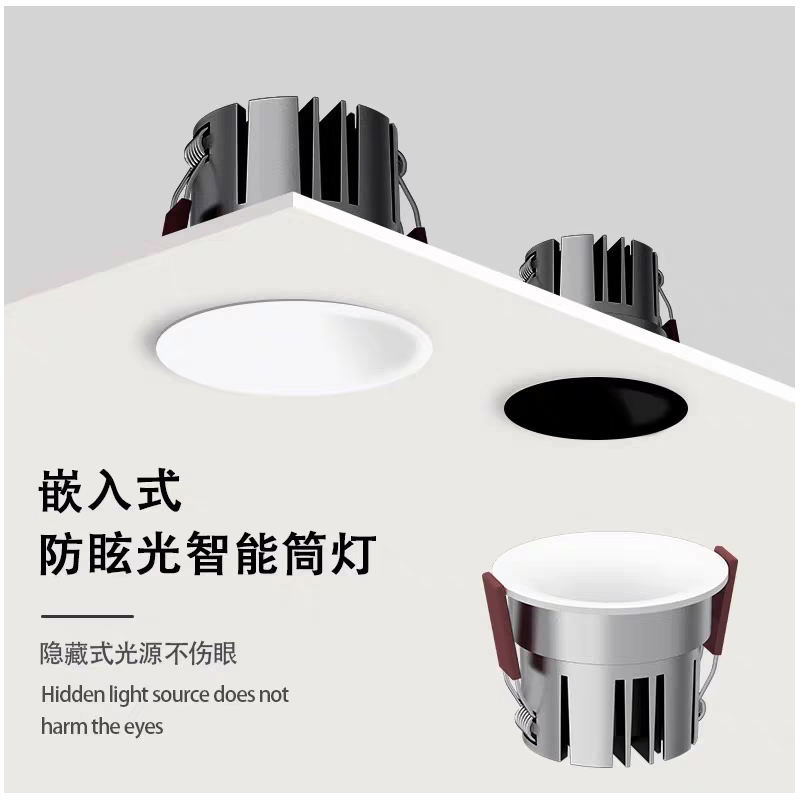 S209DM蝙蝠1.jpg