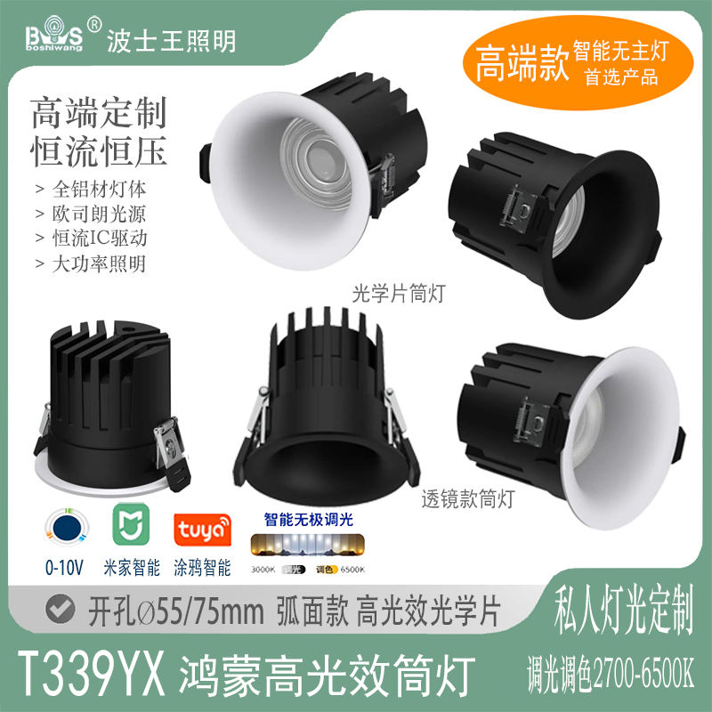 T339YX鸿蒙 弧面筒灯40.jpg