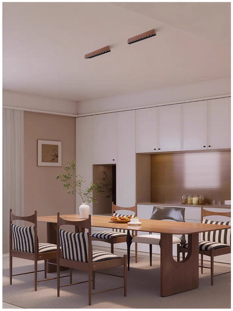 S5038YT艺佳 长条筒射灯16.jpg