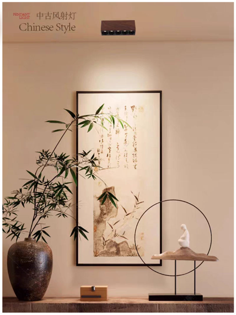 S5038YT艺佳 长条筒射灯25.jpg