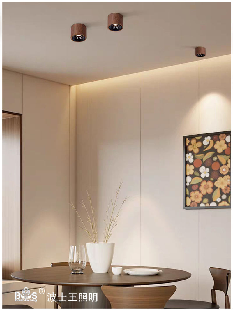 S5039YT可调 明装射灯12.jpg