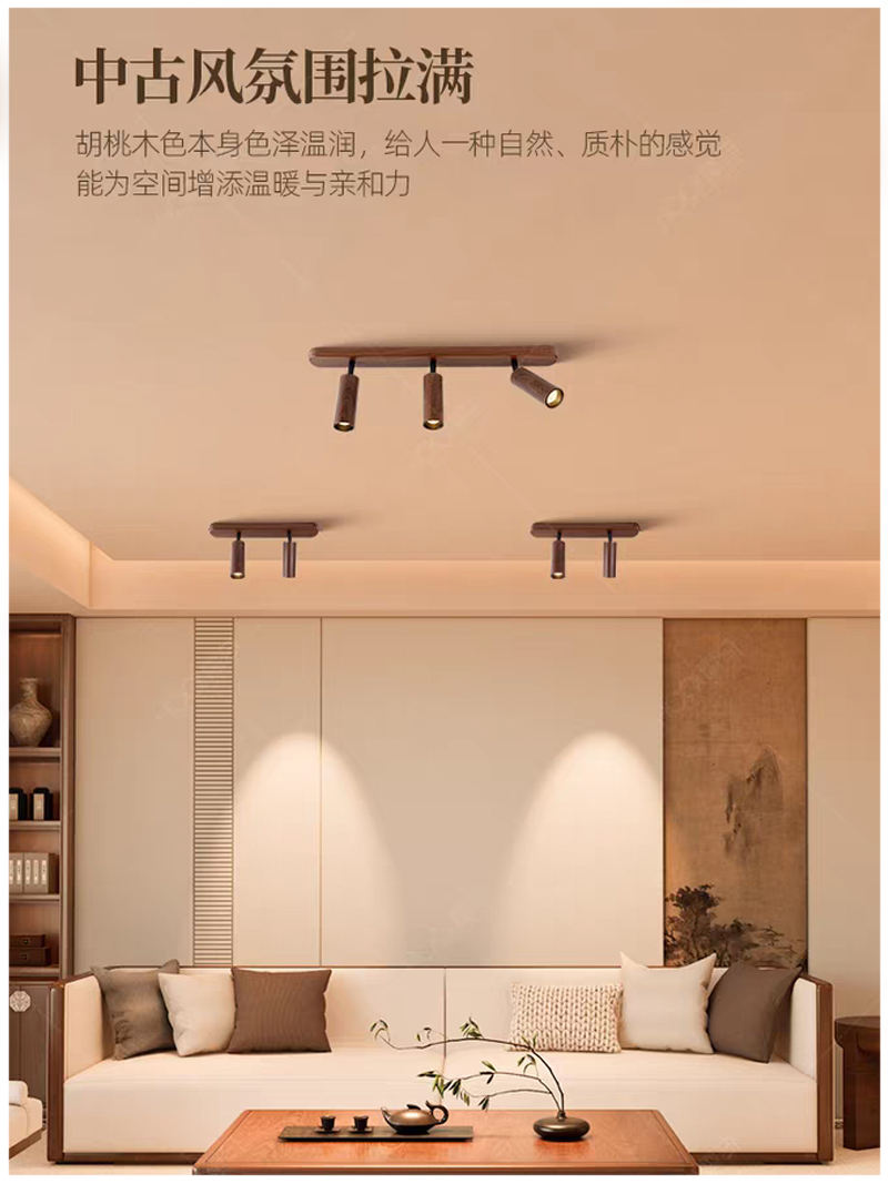 S5033YT艺耀 双头 明装21.jpg