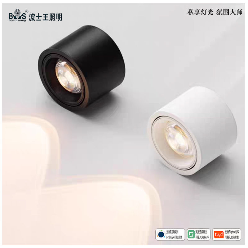 M762YT彩虹 明装射灯14.jpg